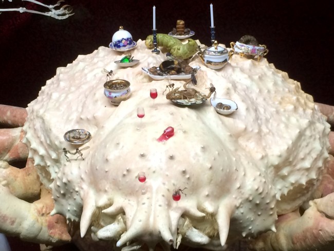 Tessa Farmer In Fairy Land exhibition photo - fairies feast on top of a spider crab. 