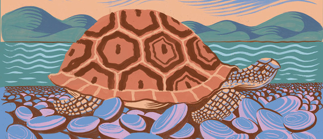Orlebar Brown Tortoise Negotation illustration by Nick Hayes