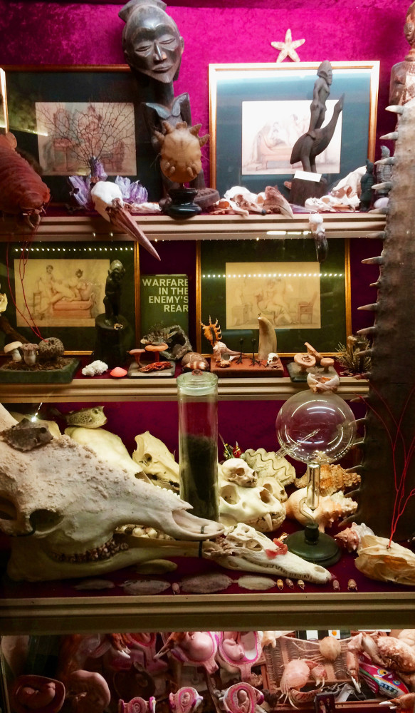 The Viktor Wynd Museum of Curiosities at the Last Tuesday Society - cabinet detail.